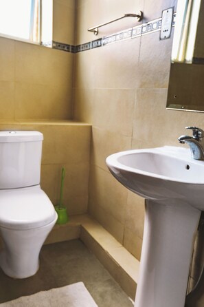A bathroom with a toilet, sink, and a green cleaning brush.