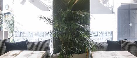 A café with two tables and chairs, a large potted plant, and a view of the street through large windows.
