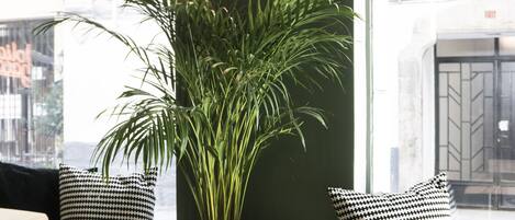 Un interior moderno con una planta grande en maceta, muebles de madera y vistas amplias a través de un ventanal.