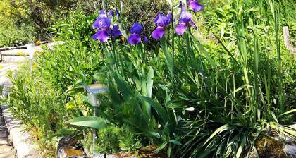 Les Jardins de Camelot
