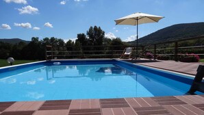 Una piscina con solárium empinado, una tumbona y una sombrilla.