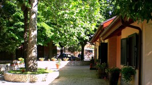 Un patio empedrado con macetas de piedra y plantas en macetas, un edificio de ladrillo con contraventanas, y un árbol que ofrece sombra.