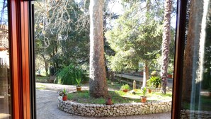 Un patio con paredes de piedra, plantas en macetas y árboles.