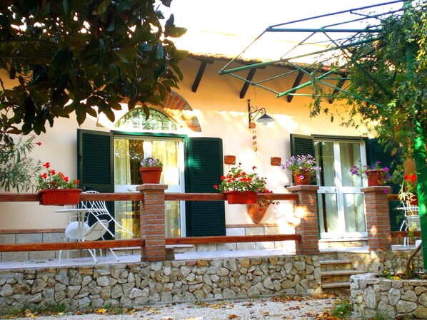 Una casa con pared de piedra, contraventanas verdes y plantas en macetas en los alféizares de las ventanas.