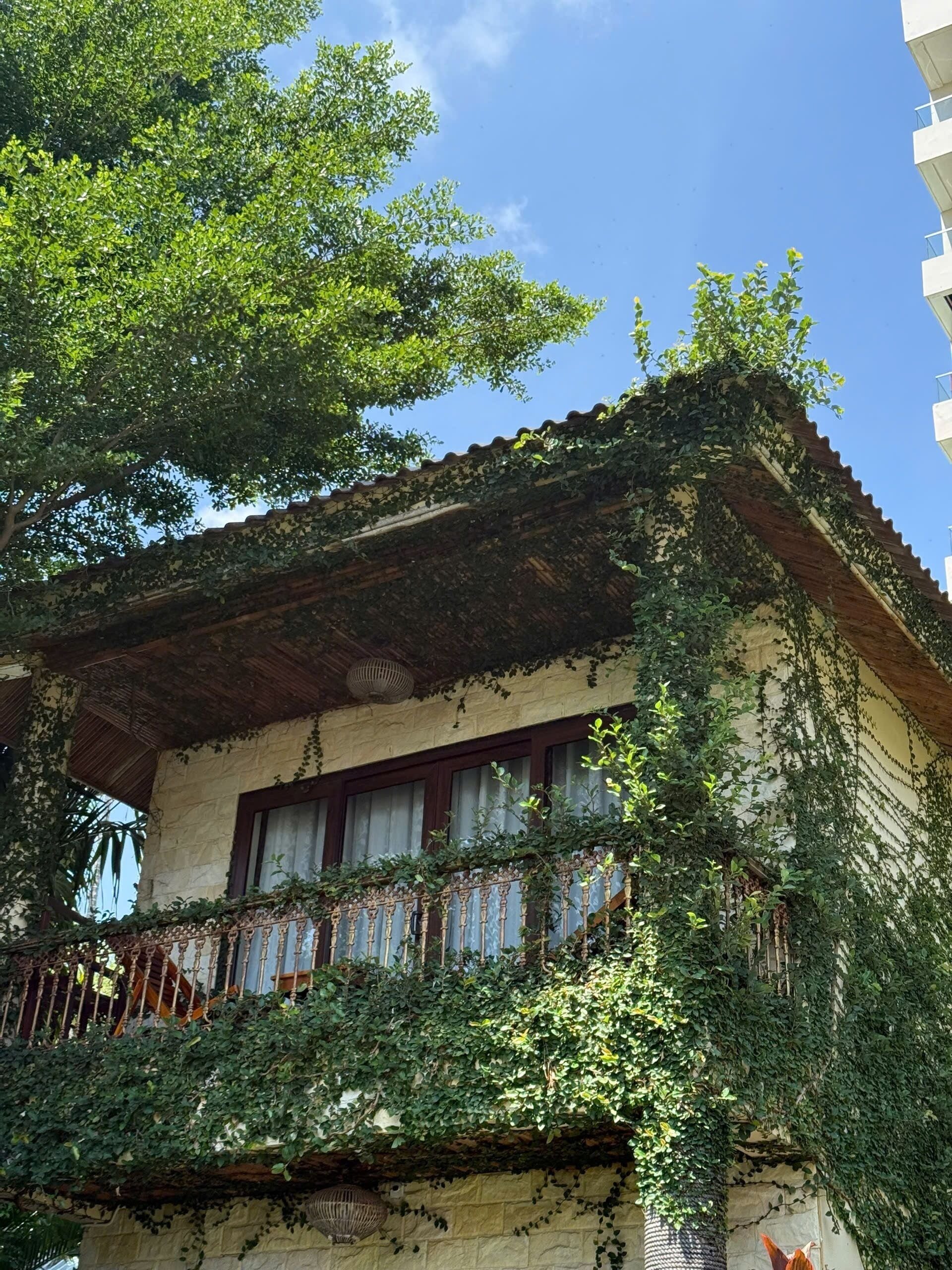 Foto - Coral Bay Resort