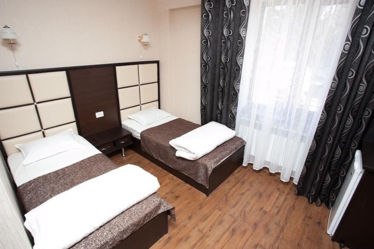 Standard Twin Room | Desk, iron/ironing board, free WiFi