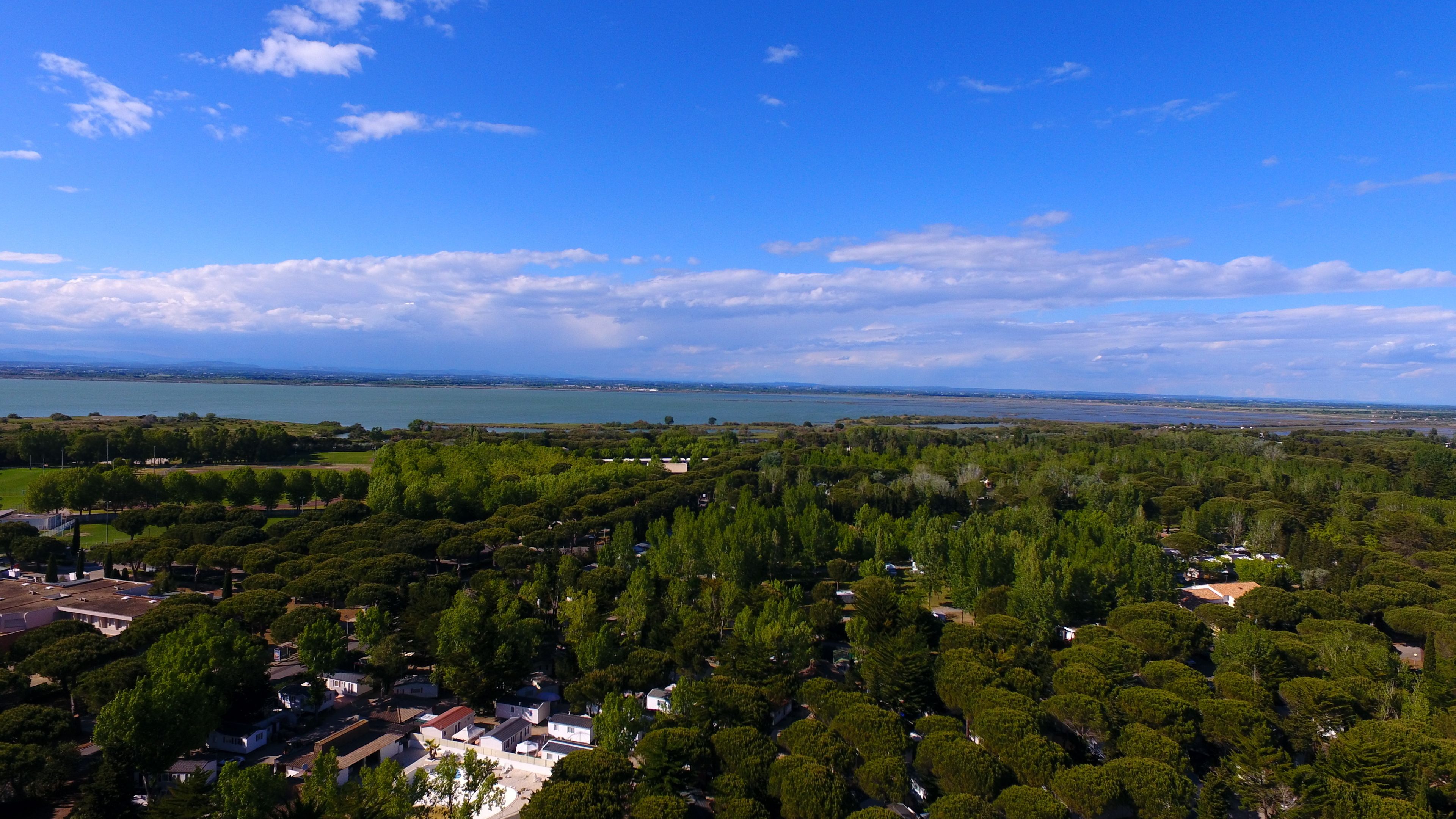 An aerial view of a residential area with houses surrounded by dense trees, a large body of water in the background, and a clear sky.