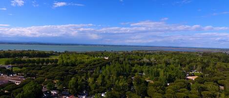 An aerial view of a residential area with houses surrounded by dense trees, a large body of water in the background, and a clear sky.