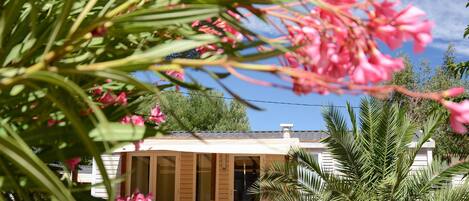 Vista frontal de la propiedad