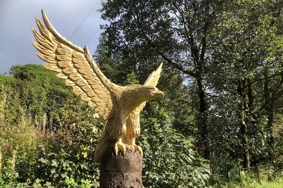 A wooden sculpture of an eagle with outstretched wings, set against a backdrop of lush greenery and trees.