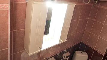 A bathroom with a sink, toilet, and mirror.