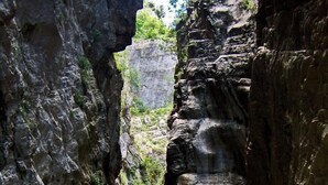 A narrow canyon with rocky walls and a stream at the bottom.