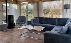 Télévision, cheminée, chaßne hi-fi