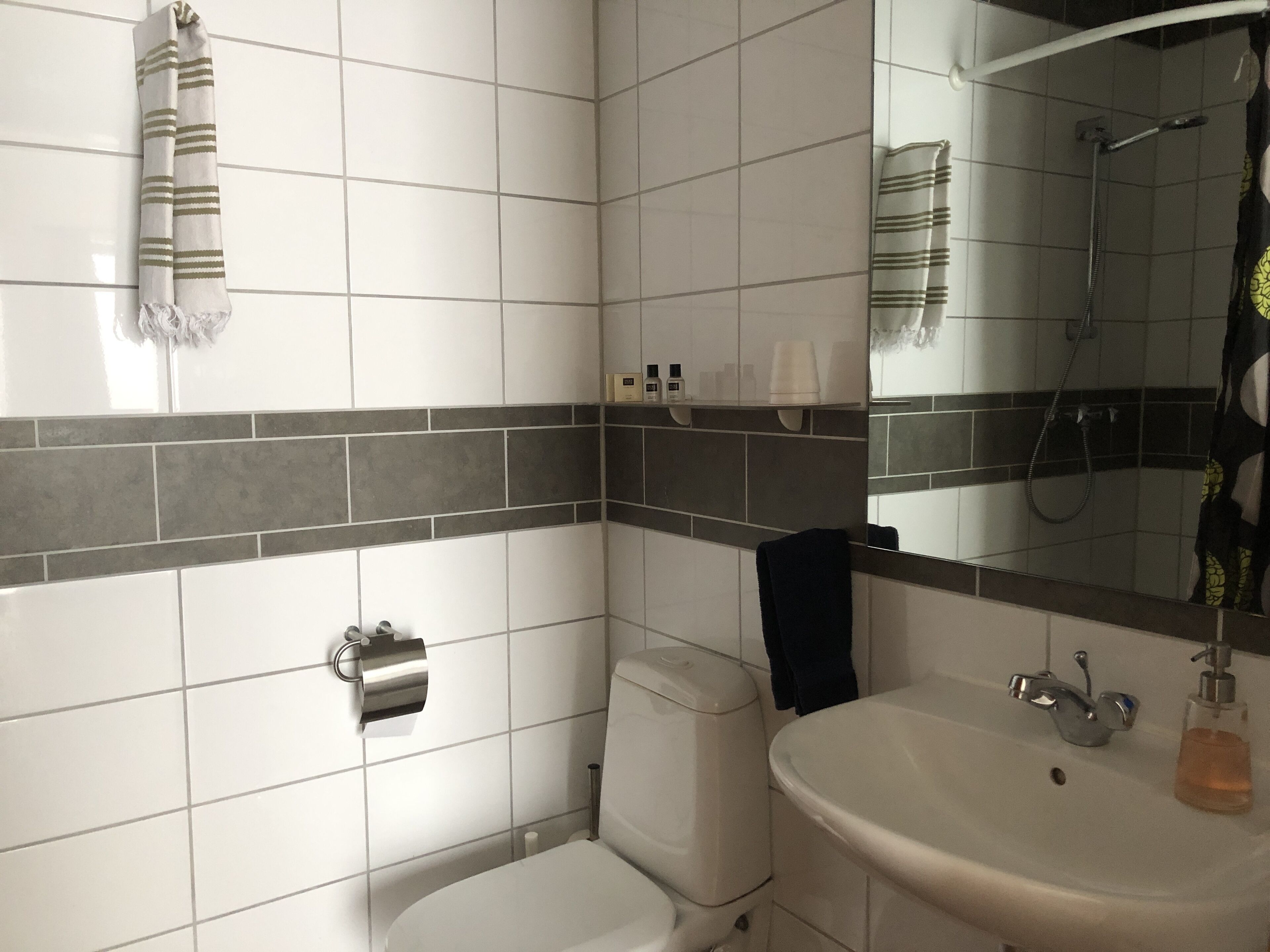 single room, private bathroom | bathroom | free toiletries, hair dryer, towels