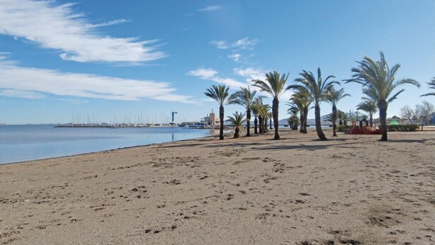 Uklassifisert bilde, 1 av 37, knapp