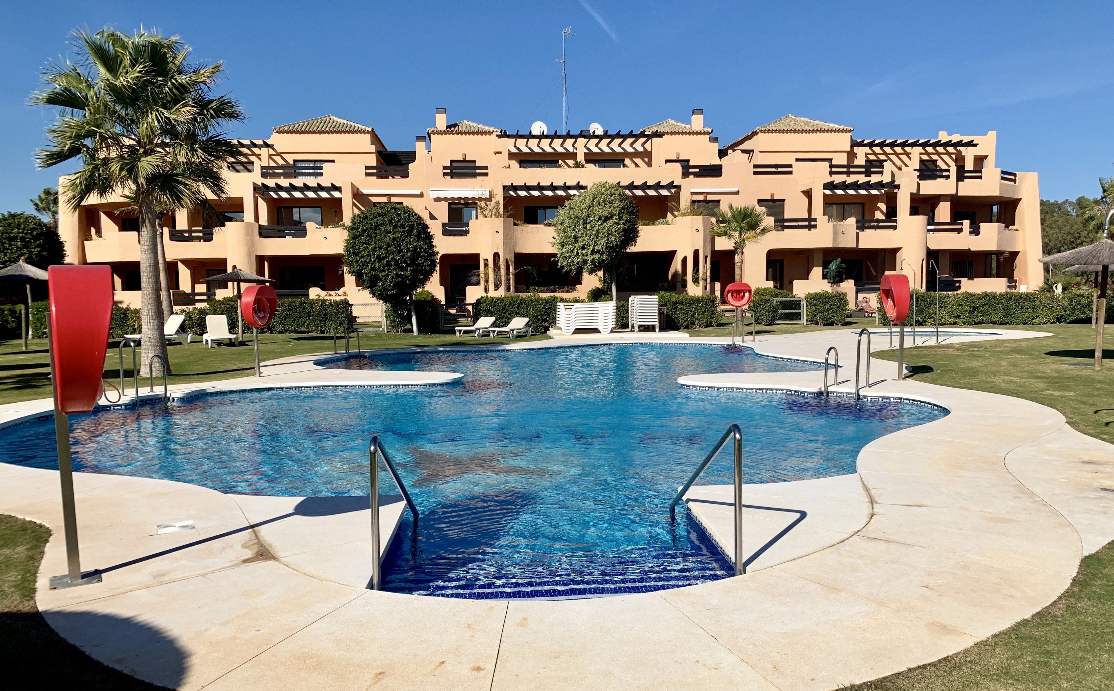 A swimming pool with a clear blue center, surrounded by a poolside area with lounge chairs and a palm tree.