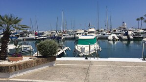Una marina con diverse imbarcazioni ormeggiate, un cielo azzurro limpido e una palma sullo sfondo.