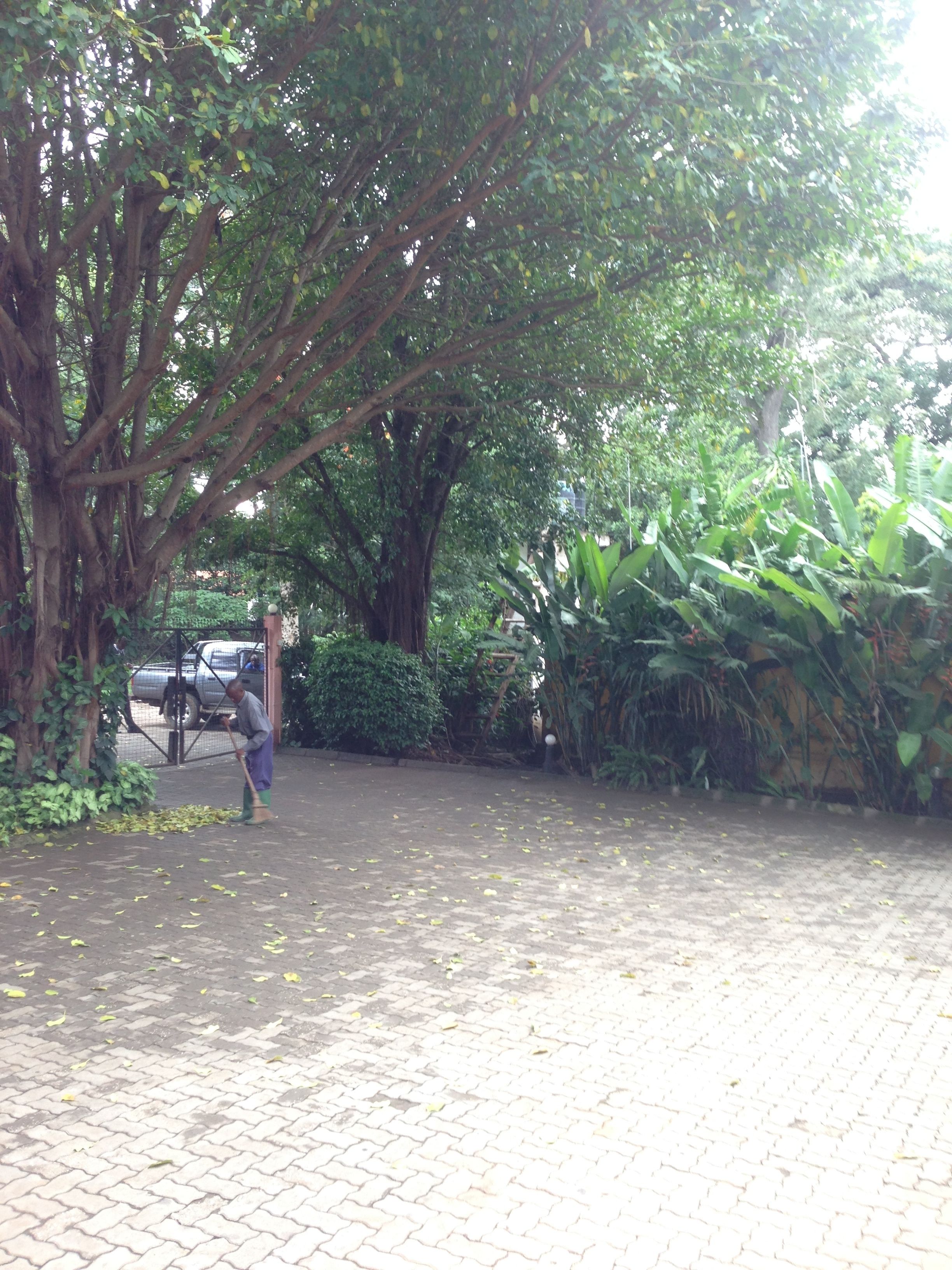 A paved pathway with trees and greenery on both sides.