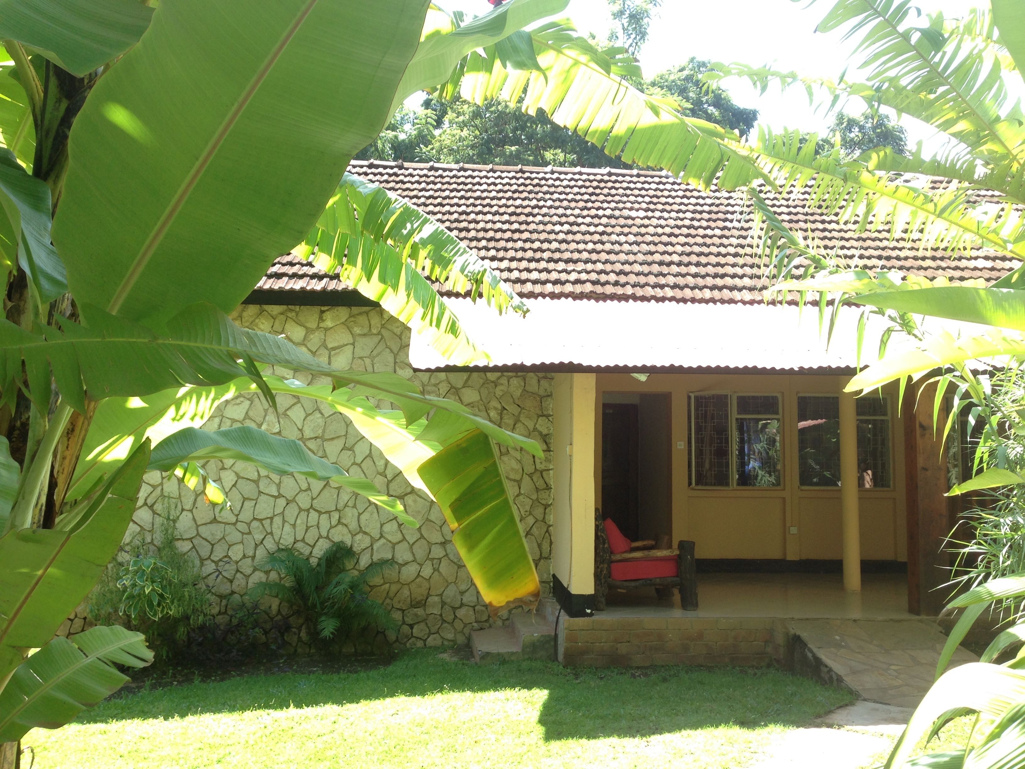 Doppel- oder Zweibettzimmer | Terrasse/Patio