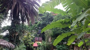 A lush garden with a wooden pathway leading to a building with a red roof. - Outpost Lodge (Arusha)