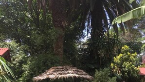 A garden with a thatched umbrella table, a brick building, and a palm tree. - Outpost Lodge (Arusha)