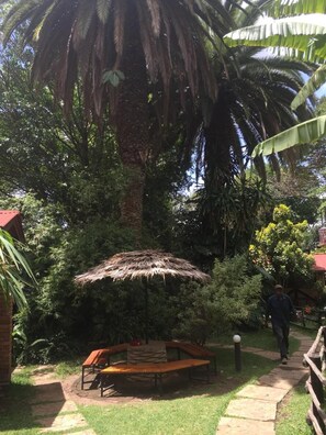 Property grounds - Outpost Lodge (Arusha)