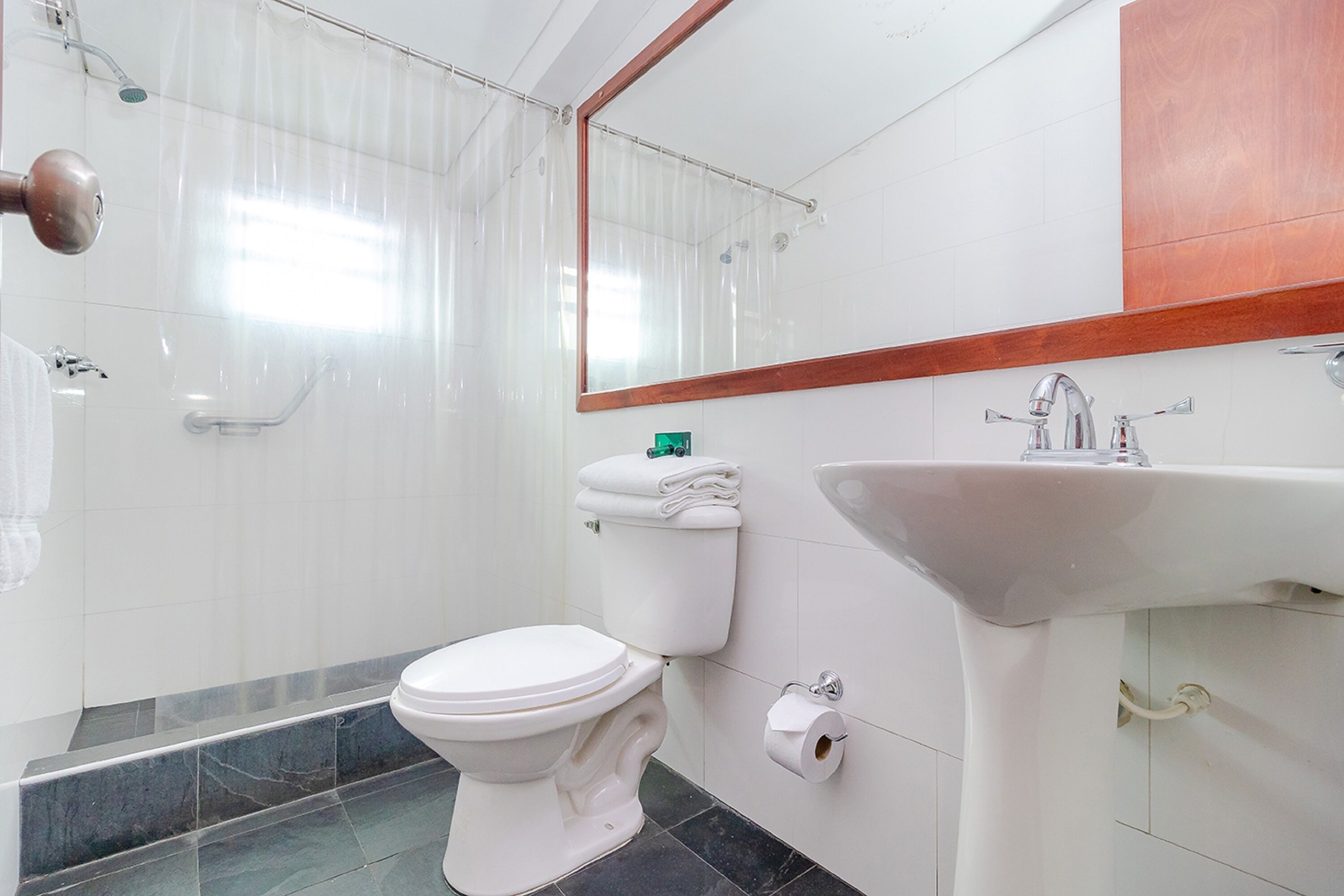 shower, free toiletries, hair dryer, towels