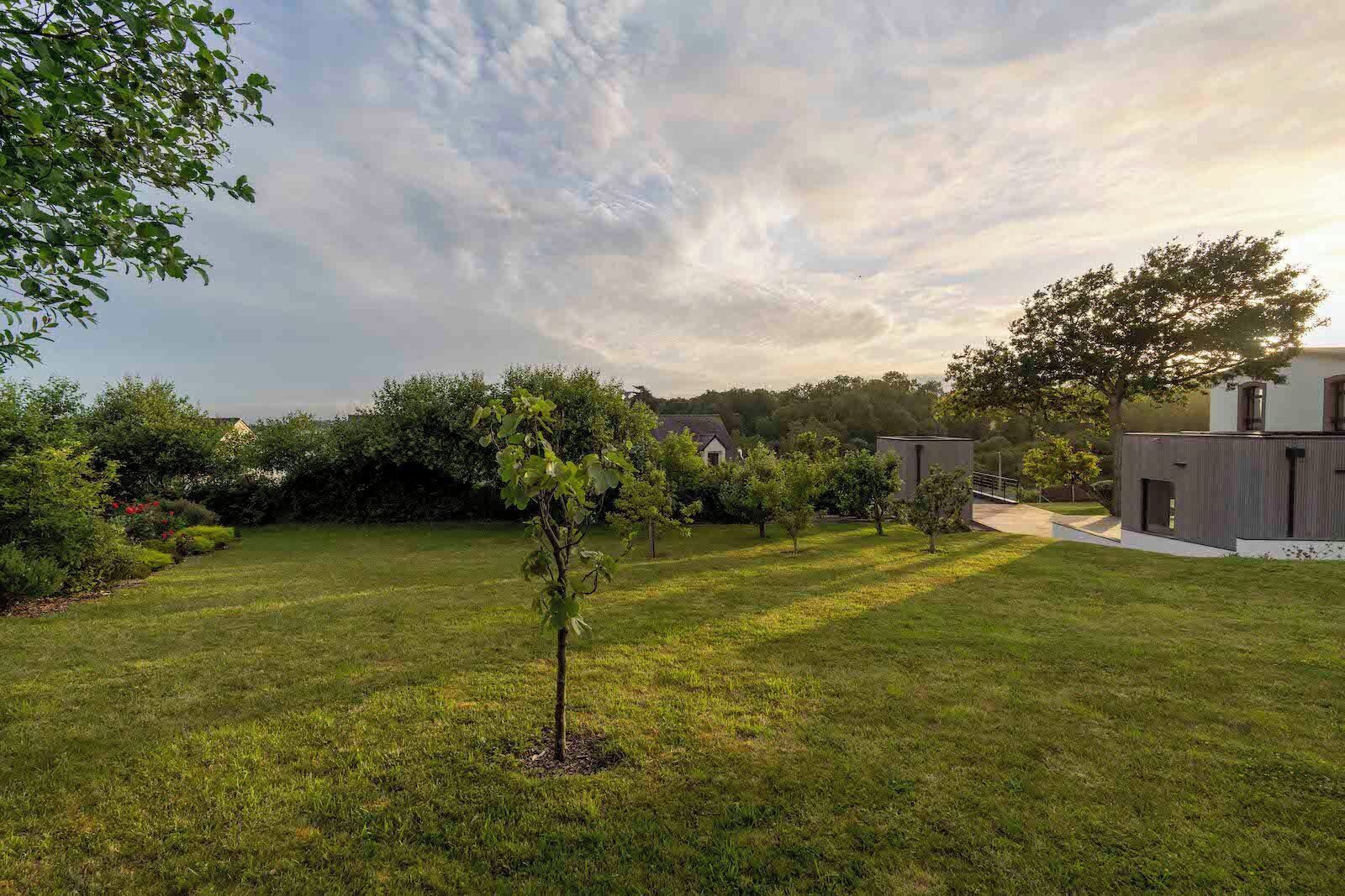 Un área verde bien cuidada con un pequeño árbol, un edificio moderno y un seto denso al fondo.