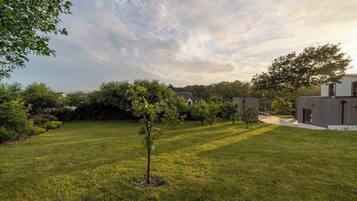 A well-maintained grassy area with a small tree, a modern building, and a dense hedge in the background.