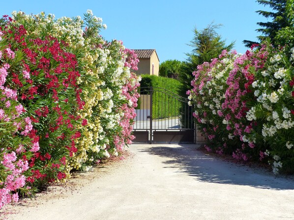 Uitzicht vanuit accommodatie