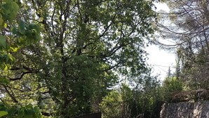 A gravel patio with a black fence, surrounded by trees and a stone wall. - Villa Manoé (Draguignan)