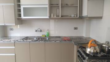 Full-sized fridge, oven, stovetop, electric kettle