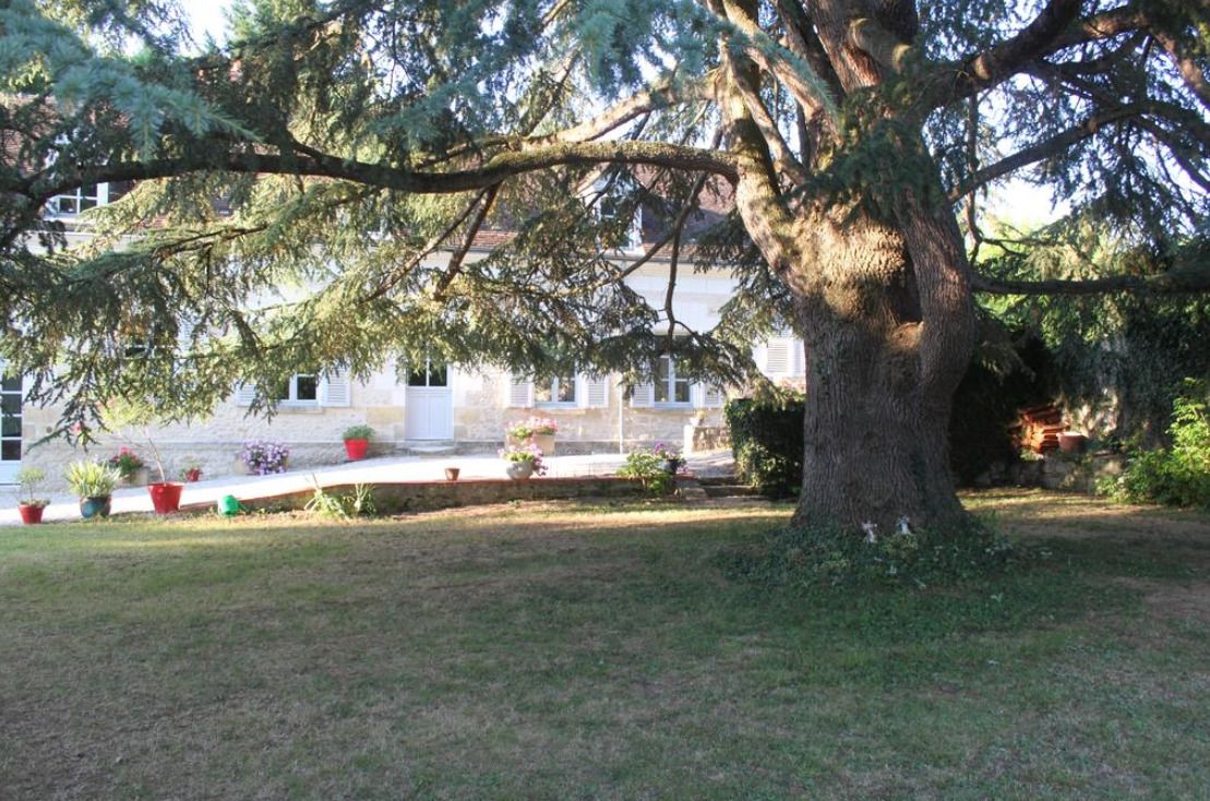 Un grande albero in un giardino curato, con un edificio sullo sfondo.