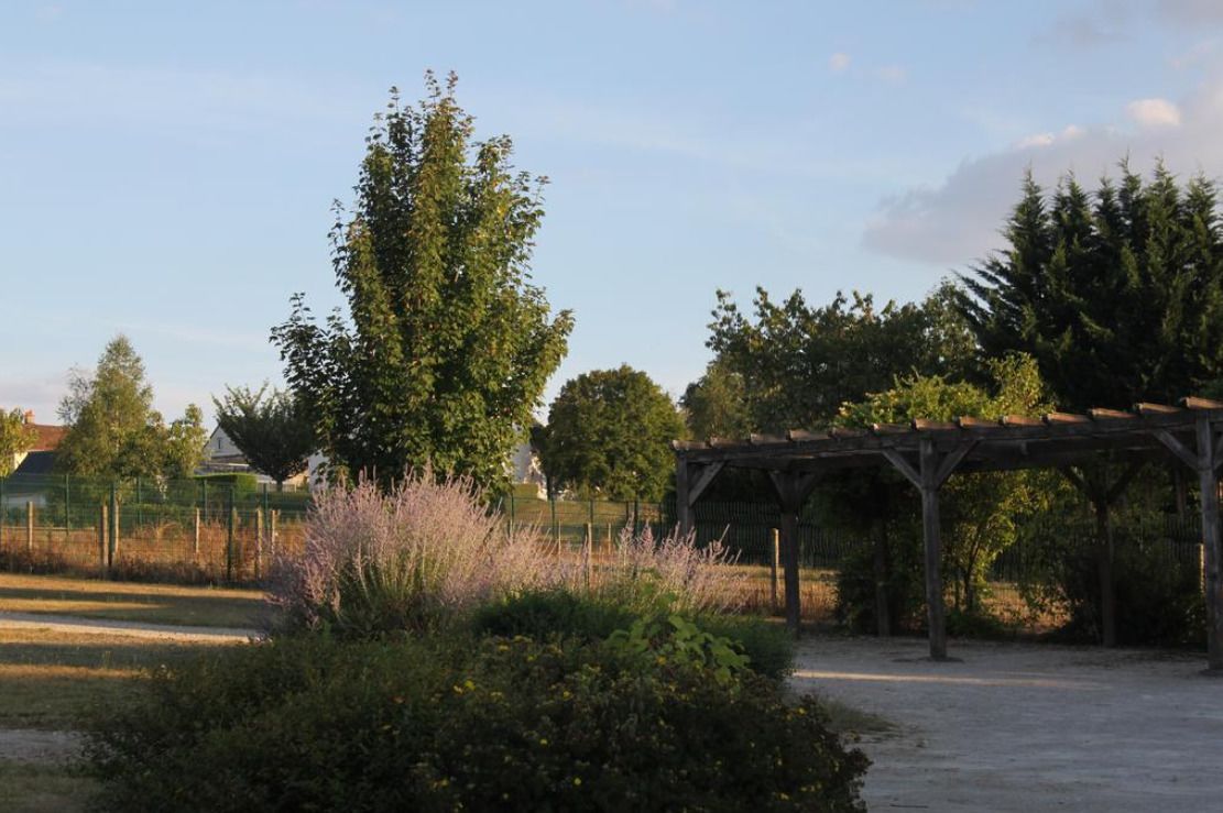 A garden with a pergola, various plants, and a fence.