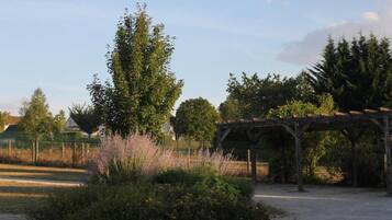 A garden with a pergola, various plants, and a fence.