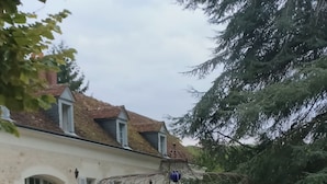 Un patio con mobiliario exterior, una pérgola adornada con flores y un edificio con tejado de baldosas.