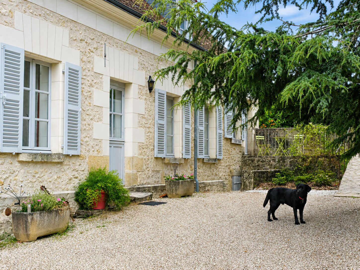 A building with stone walls and shutters, a gravel driveway, and a dog.