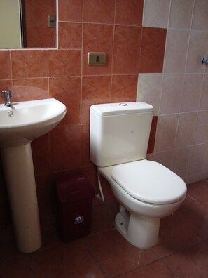 Shower, free toiletries - Hostal Versalles (Cochabamba)