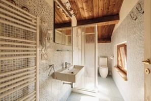 Baño con techo de madera, cabina de ducha de vidrio, lavabo blanco y un inodoro.