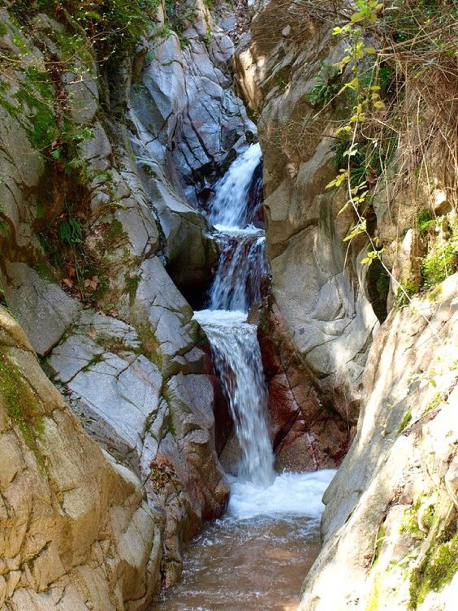 Photo - Hostal Montsoliu