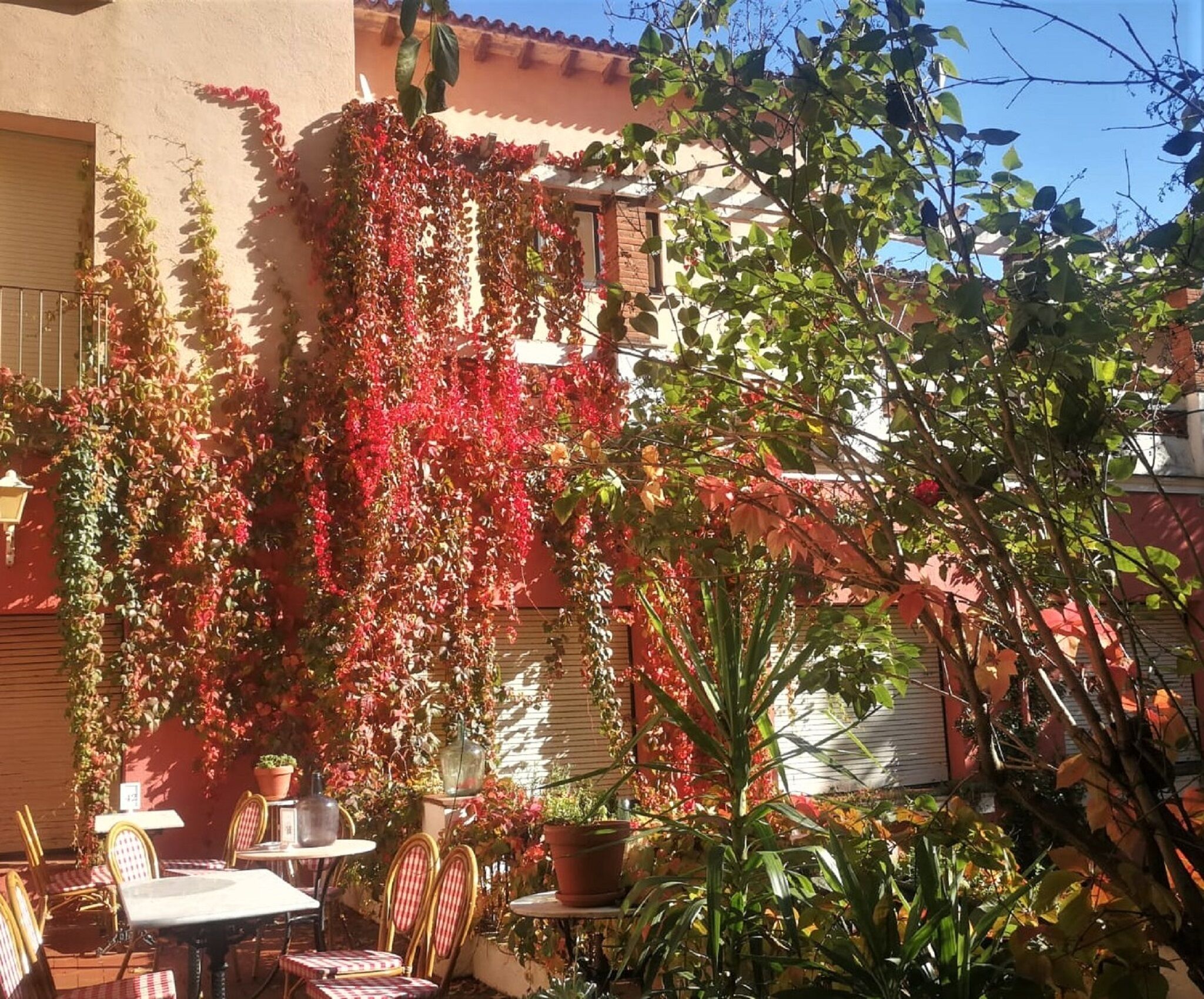Photo - Hostal Montsoliu