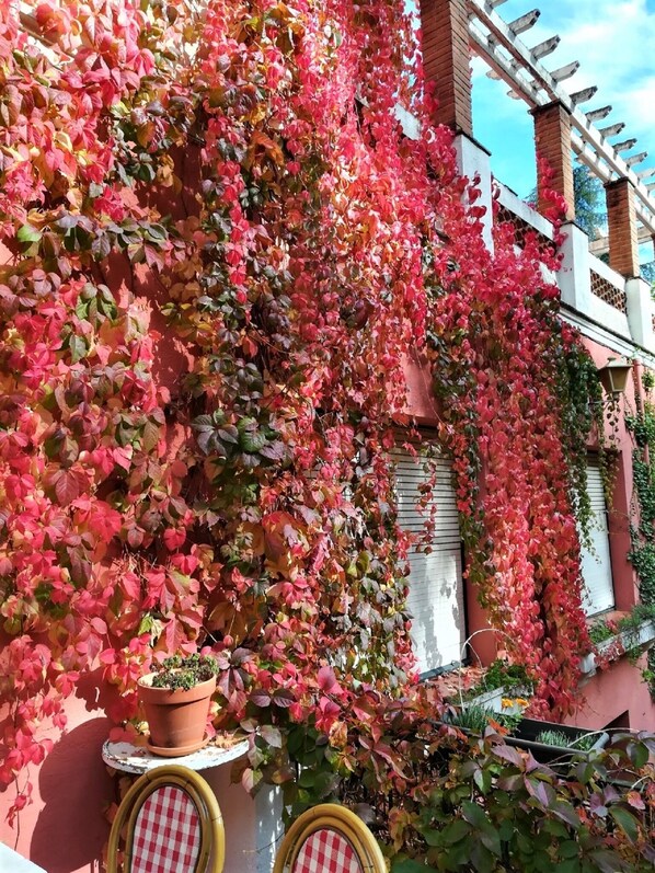 A building with a red exterior, covered in red and pink foliage, and a white balcony with a wooden railing. - Hostal Montsoliu (Arbucies)