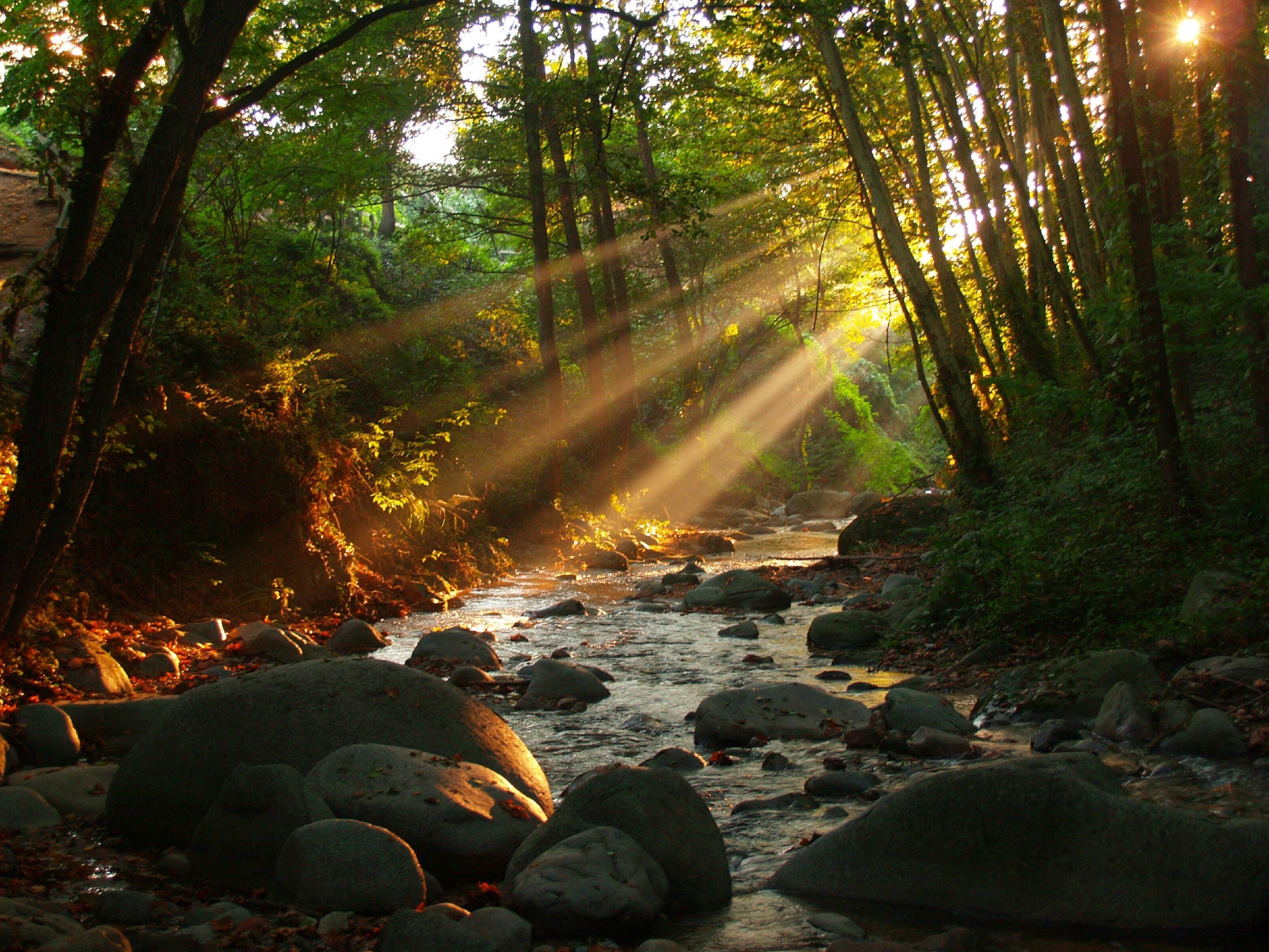 Photo - Hostal Montsoliu