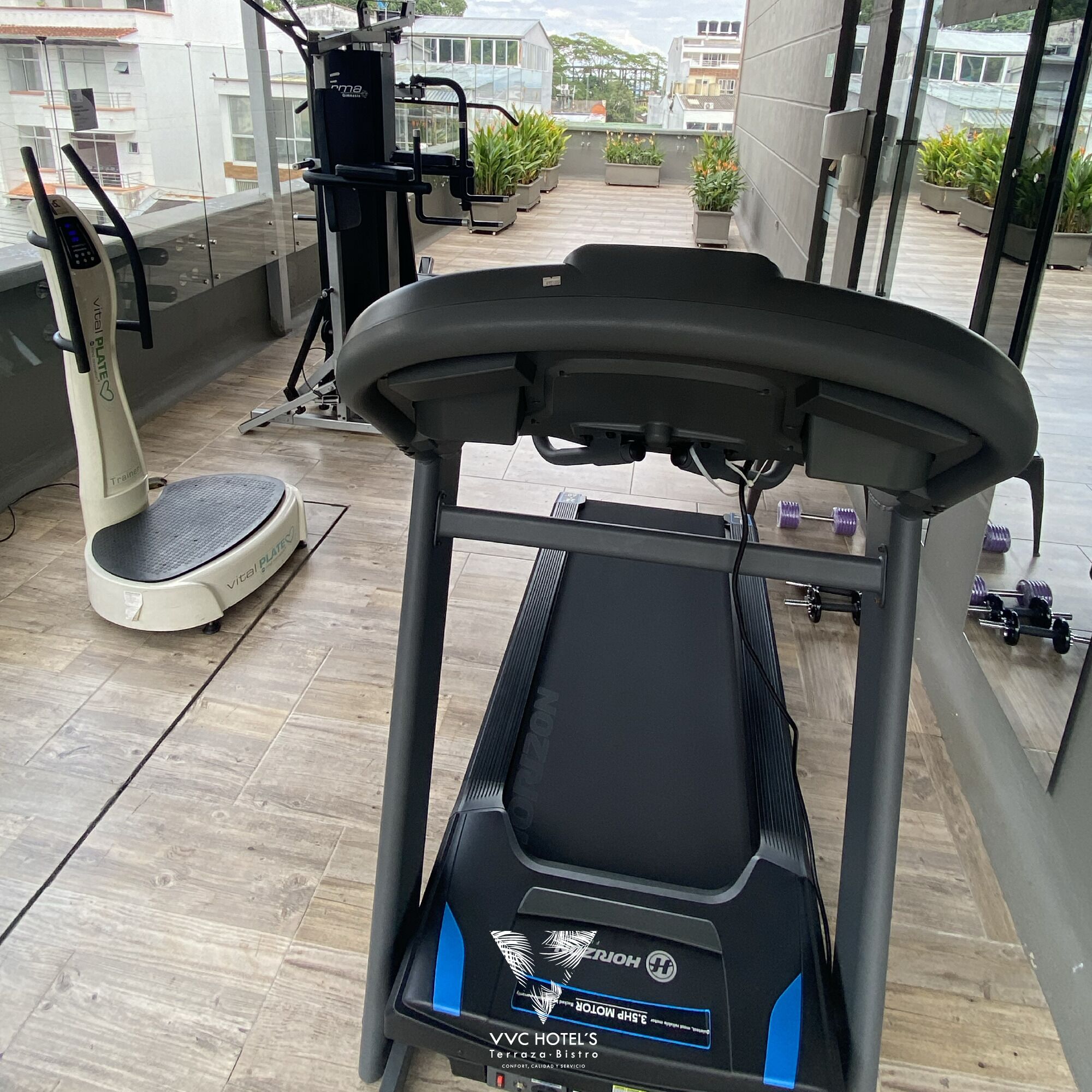 Gimnasio
