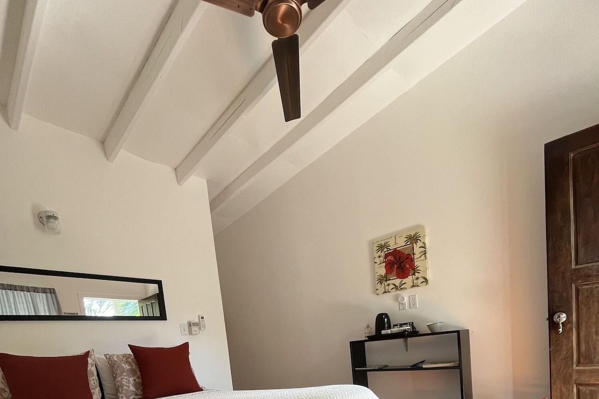 A bedroom with a bed, wooden floor, a ceiling fan, a wall-mounted light, a shelf with items, and a door.
