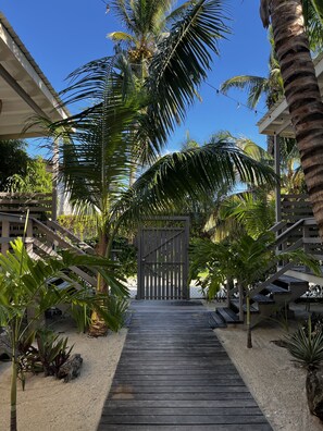 Exterior - Dream Cabanas (Caye Caulker)