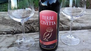 A bottle of Terre della Civetta wine with two empty wine glasses on a wooden surface. - La Giara B&B (San Demetrio Corone)