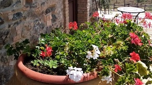 A stone building with a wooden door, a potted plant with flowers, and a view of a vineyard in the background. - La Giara B&B (San Demetrio Corone)