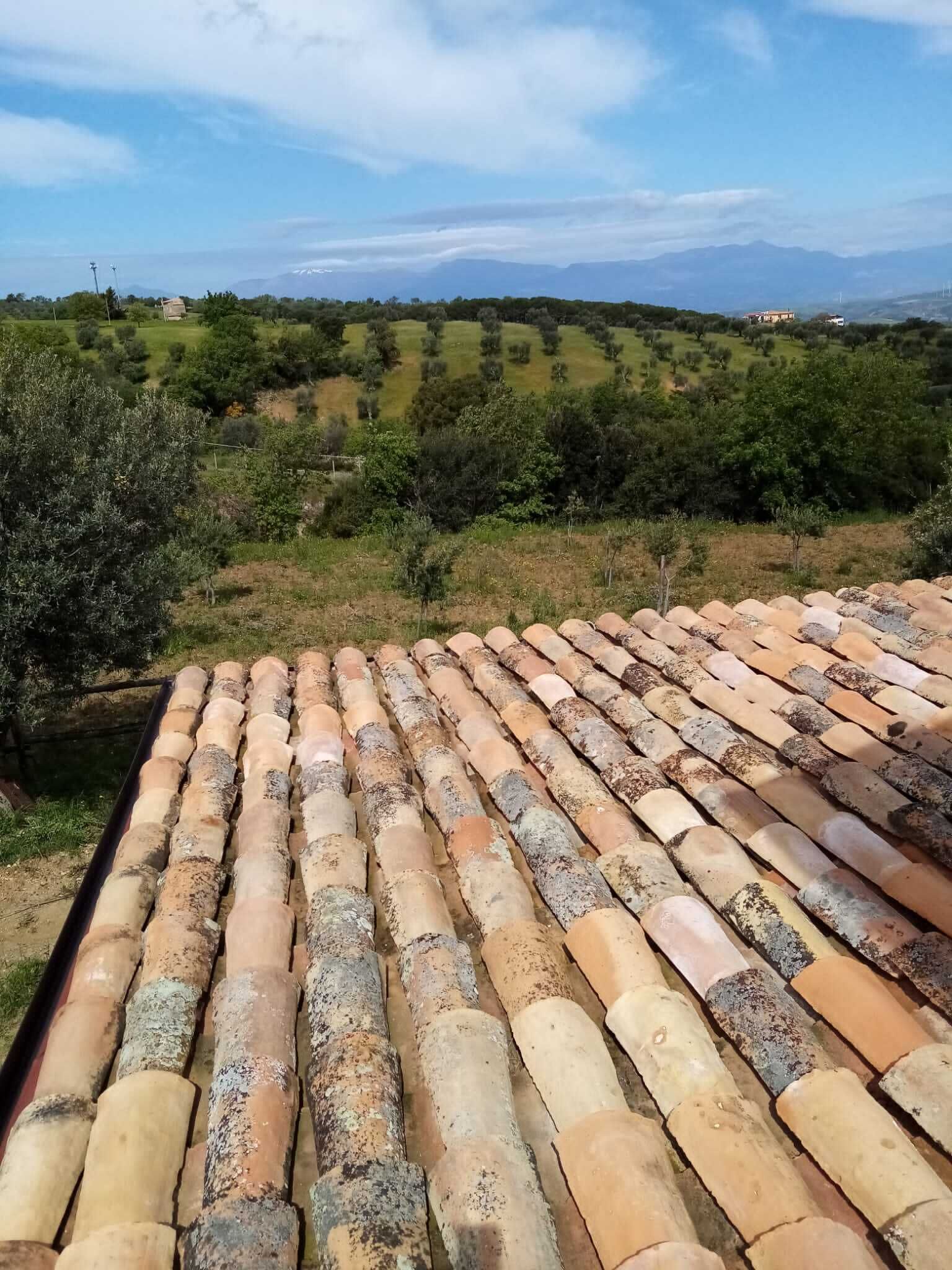 A terracotta-tiled roof with a view of rolling hills and sparse vegetation.