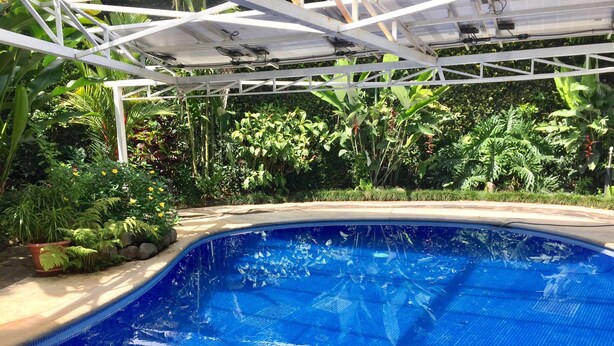 Una piscina con techo de estructura blanca, rodeada de exuberante vegetación y plantas diversas.